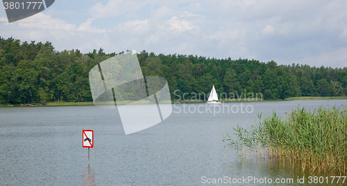 Image of White small yachts against forest