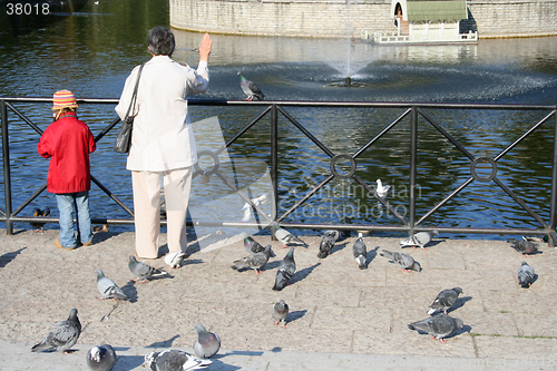 Image of Feeding birds