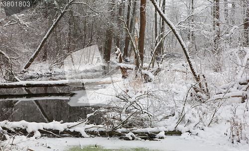 Image of Snowy riparian forest over river