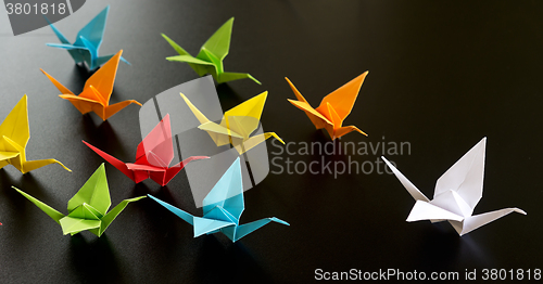 Image of origami crane birds