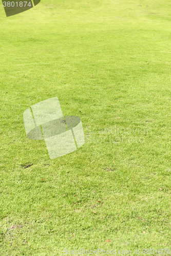 Image of green field background