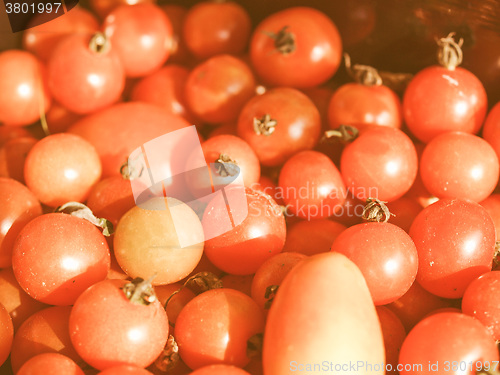 Image of Retro looking Tomatoes picture