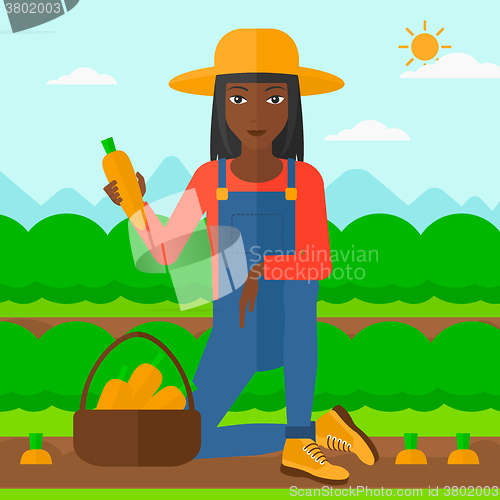 Image of Farmer collecting carrots.