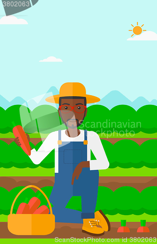 Image of Farmer collecting carrots.