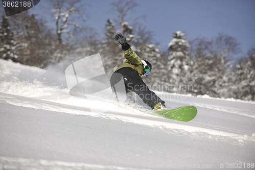 Image of snowboarder woman enjoy freeride on fresh powder snow
