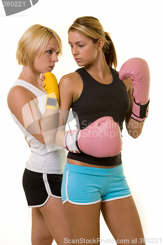 Image of Boxing opponents