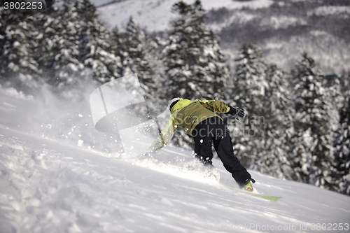 Image of snowboarder woman enjoy freeride on fresh powder snow