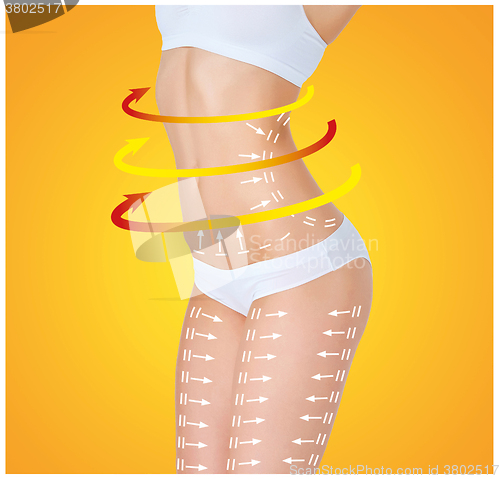 Image of The cellulite removal plan. White markings on young woman body 