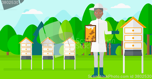 Image of Bee-keeper at apiary.