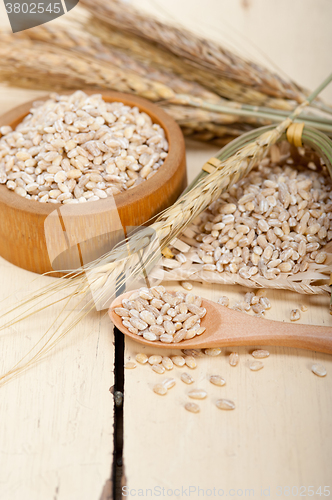 Image of organic wheat grains 