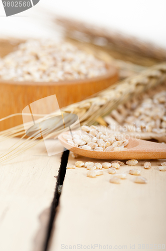 Image of organic wheat grains 