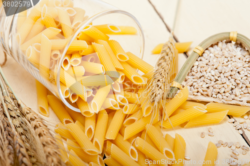 Image of Italian pasta penne with wheat