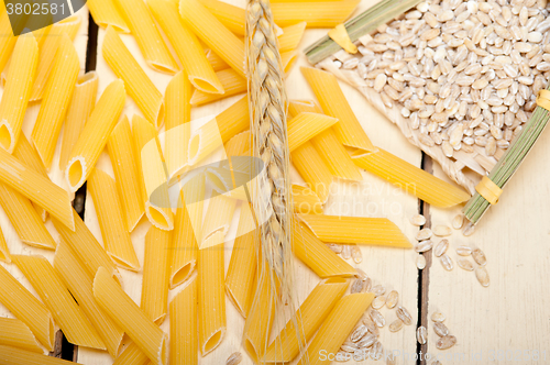 Image of Italian pasta penne with wheat