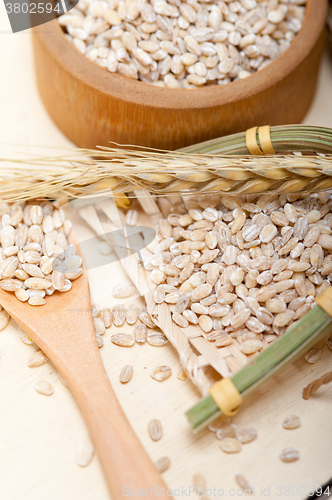 Image of organic wheat grains 