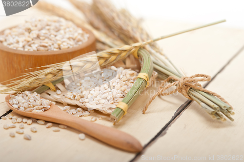 Image of organic wheat grains 