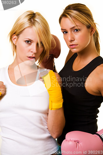 Image of Two sexy boxers