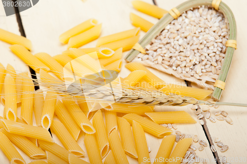 Image of Italian pasta penne with wheat