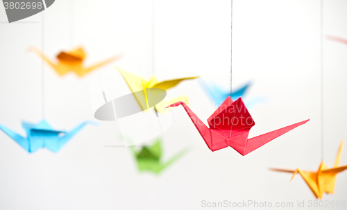 Image of origami crane birds