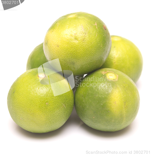 Image of ripe fresh limes