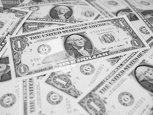 Image of Black and white Dollar notes 1 Dollar