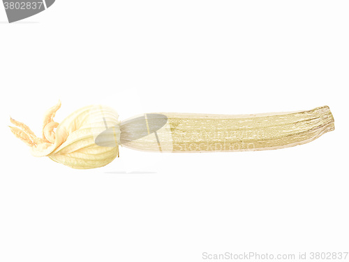 Image of Retro looking Courgettes zucchini