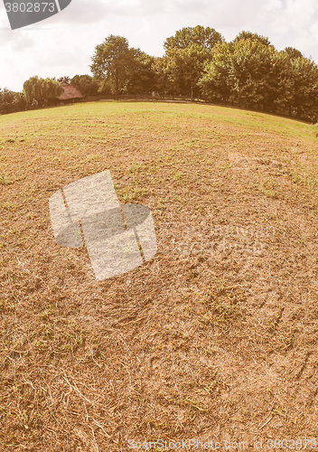 Image of Retro looking Grass meadow