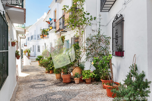 Image of Picturesque narrow street decorated with plants