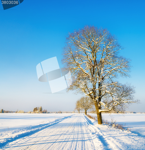 Image of Winter road in the countryside, a beautiful winter day