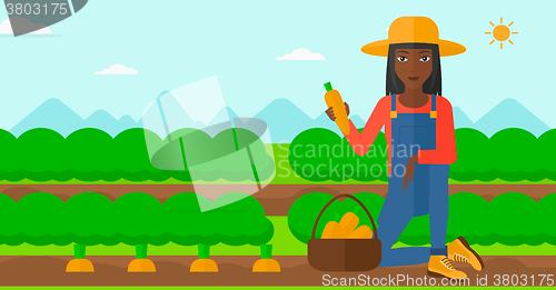 Image of Farmer collecting carrots.