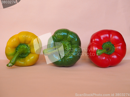 Image of Yellow Green and Red Peppers vegetables
