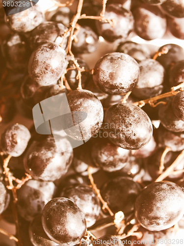 Image of Retro looking Grape picture