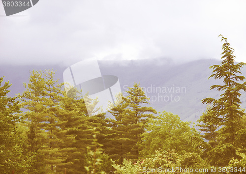 Image of Retro looking Hill picture