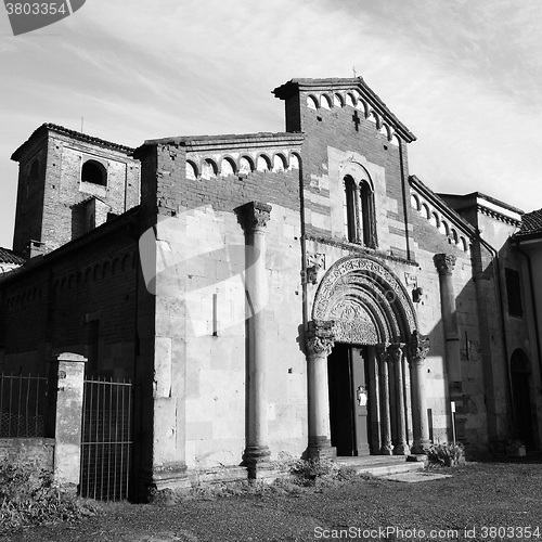 Image of Black and white Santa Fede Cavagnolo