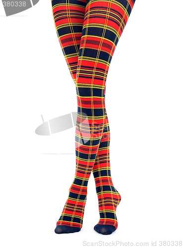 Image of Legs in multicolored fancy tights