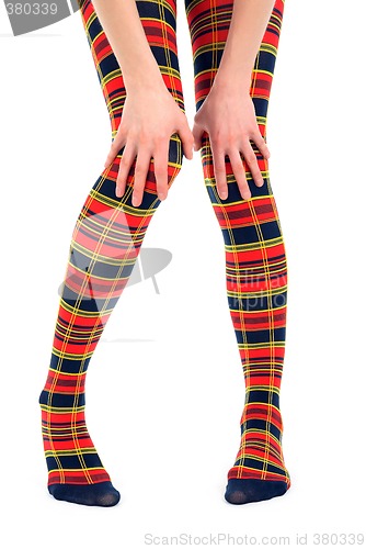 Image of Funny legs in multicolored tights