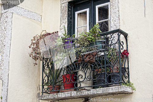 Image of beautiful old windows