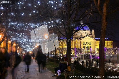 Image of Illuminated tree alley in Zagreb