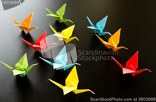 Image of origami crane birds