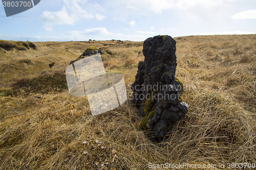 Image of Basalt stones at the cave near Vik, Iceland