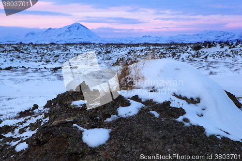 Image of Winter landscape with evening light