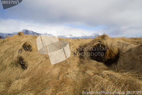 Image of Basalt stones at the cave near Vik, Iceland