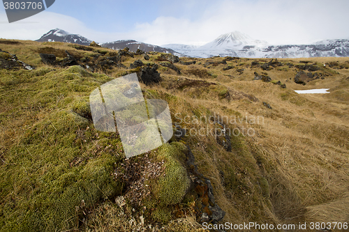 Image of Basalt stones at the cave near Vik, Iceland