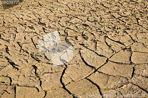 Image of cracked earth field  