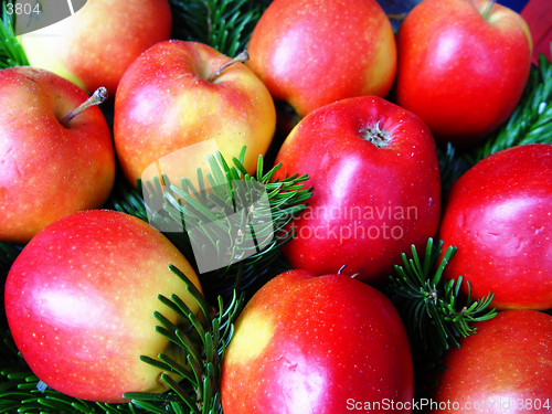 Image of christmas apples