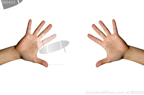 Image of Open palm hand
