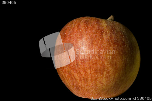 Image of Apple on Black