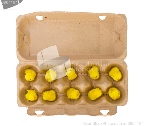 Image of Easter chicks in an eggbox