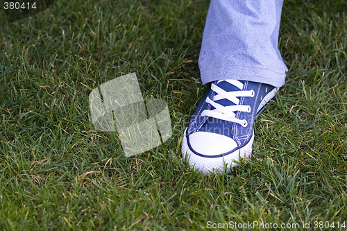 Image of Feet on the Grass
