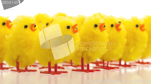 Image of Abundance of easter chicks, selective focus