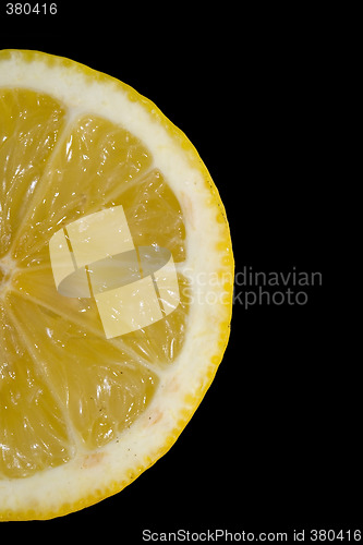 Image of Half Lemon on Black